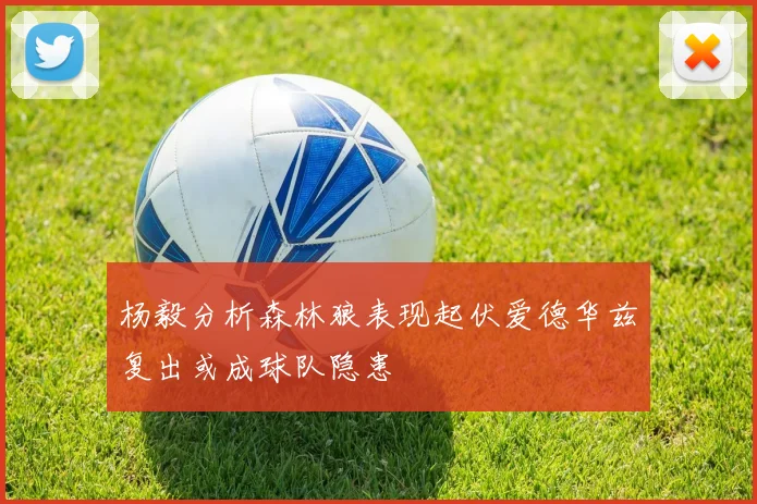 杨毅分析森林狼表现起伏爱德华兹复出或成球队隐患