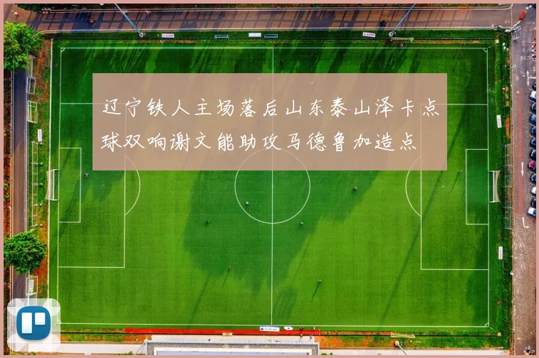 辽宁铁人主场落后山东泰山泽卡点球双响谢文能助攻马德鲁加造点